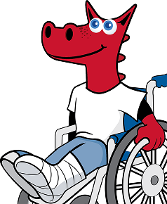 ozzie in wheelchair